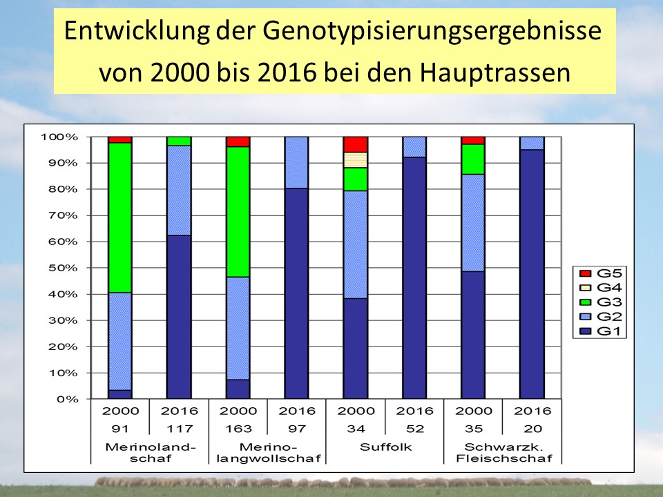 Entwicklung der Genotypisierungsergebnisse von 2000 bis 2016 bei den Hauptschafrassen